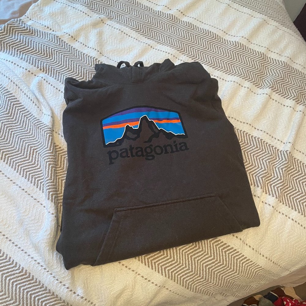 Men's Patagonia Hoodie